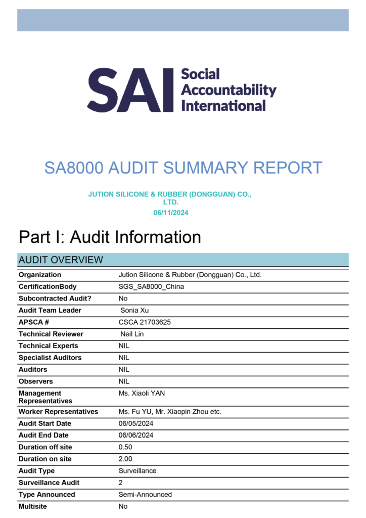 ZSR Certification 29 sa8000 01